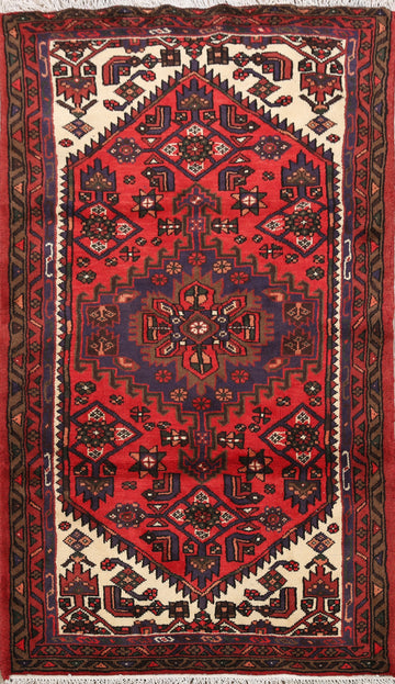 Geometric Hamedan Persian Area Rug 3x5