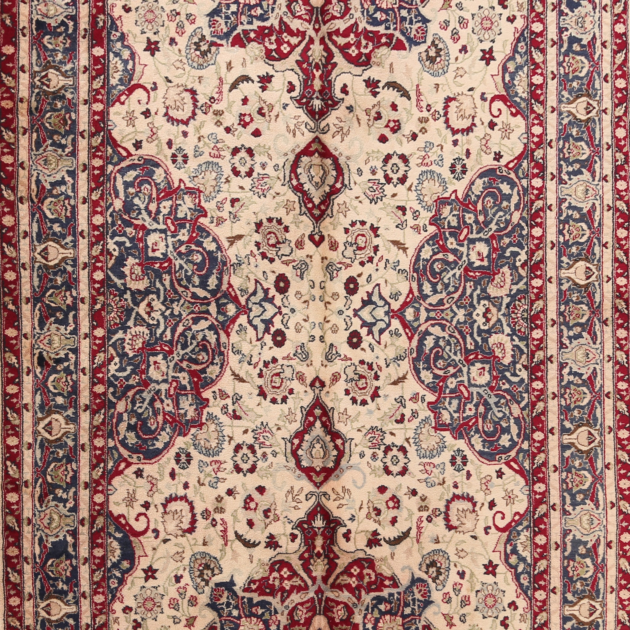 Anatolian Oriental Area Rug 6x9