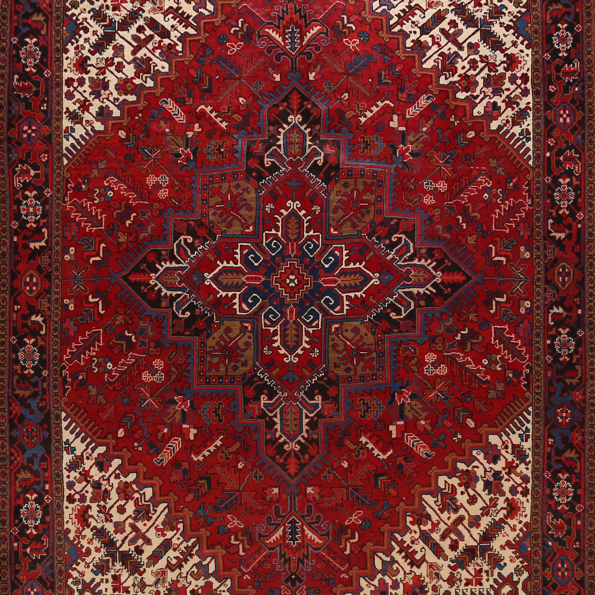 Red Geometric Heriz Persian Area Rug 9x11