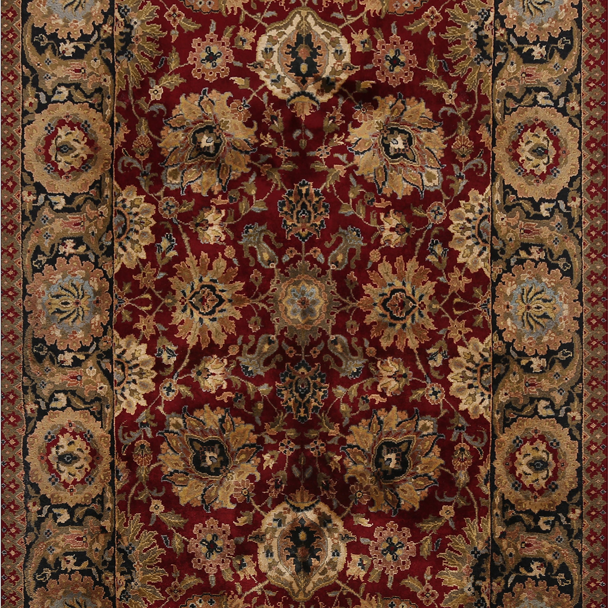 Floral Agra Oriental Area Rug 6x9