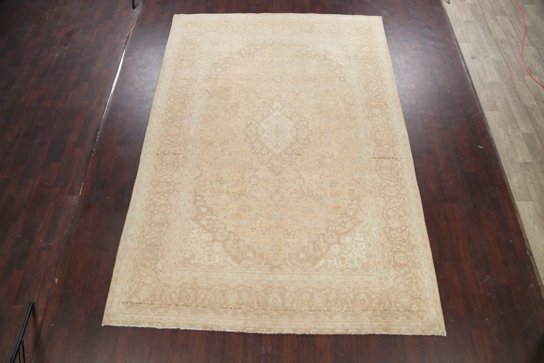 Muted Distressed Kashan Persian Area Rug 8x11