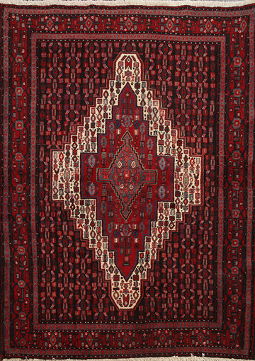 Tribal Geometric Bidjar Persian Area Rug 4x5