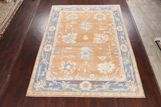 Vegetable Dye Floral Ziegler Oriental Area Rug 9x12