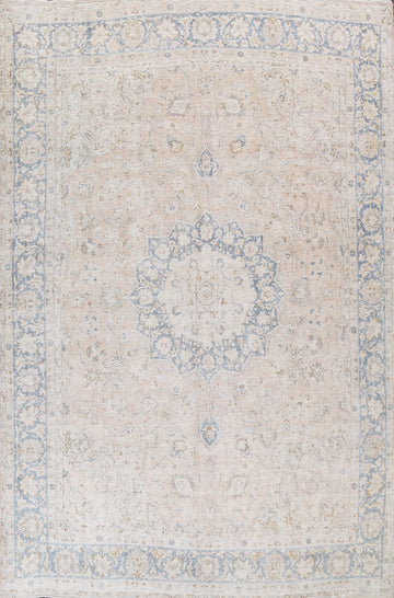 Muted Distressed Kerman Persian Area Rug 10x13