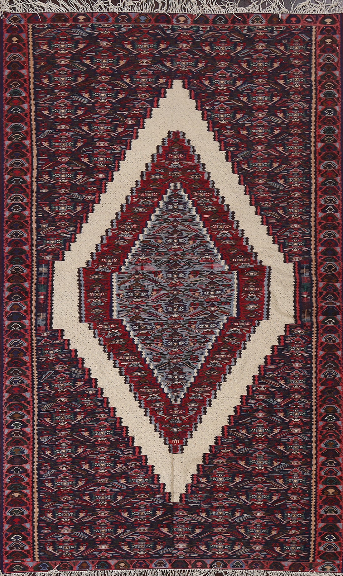 Vegetable Dye Kilim Area Rug 5x8