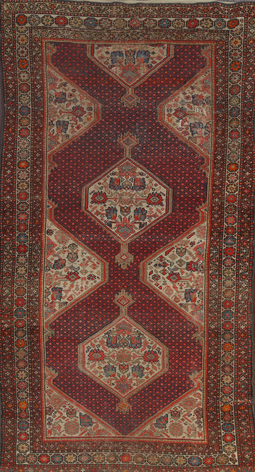 Pre-1900 Antique Vegetable Dye Malayer Persian Rug 4x8