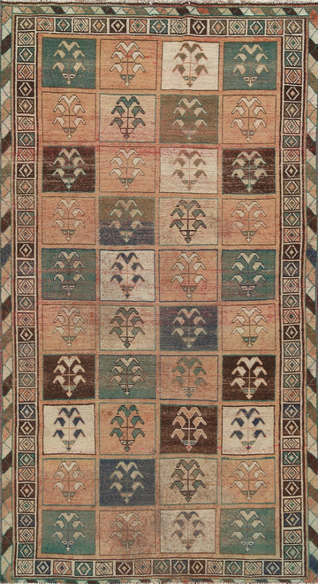 Antique Wool Bakhtiari Persian Area Rug 5x9
