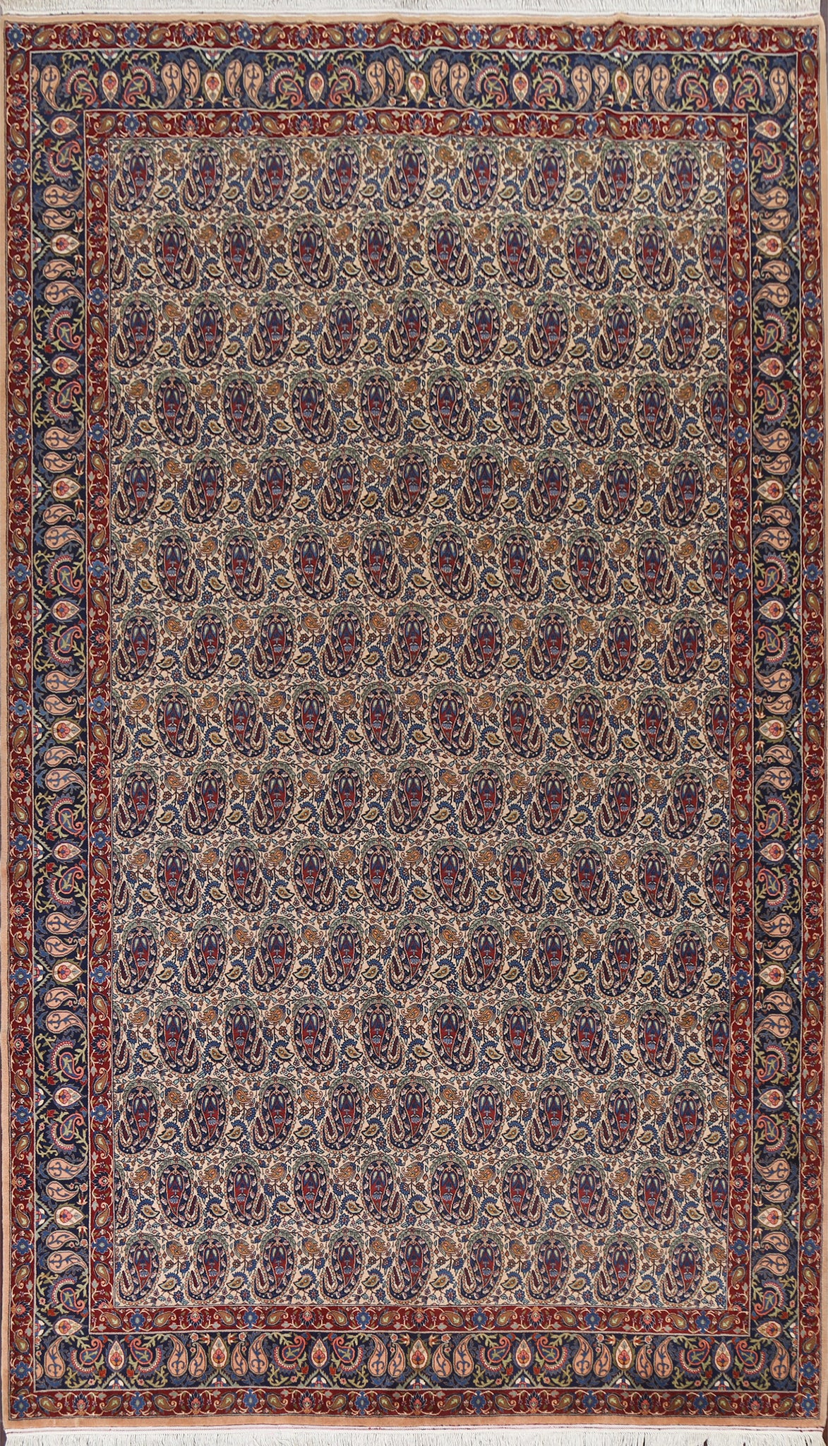 Vegetable Dye Paisley Tabriz Persian Area Rug 9x12