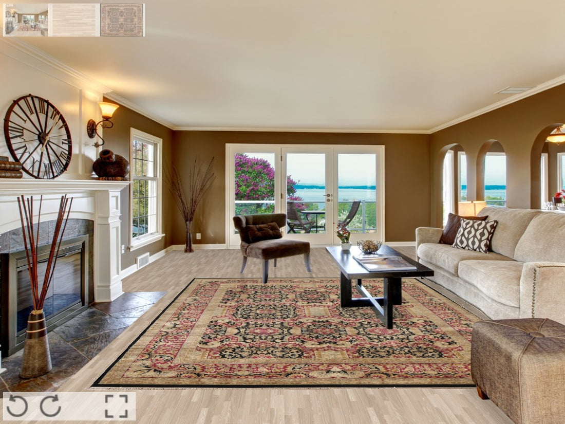 Vegetable Dye Agra Oriental Area Rug 9x12