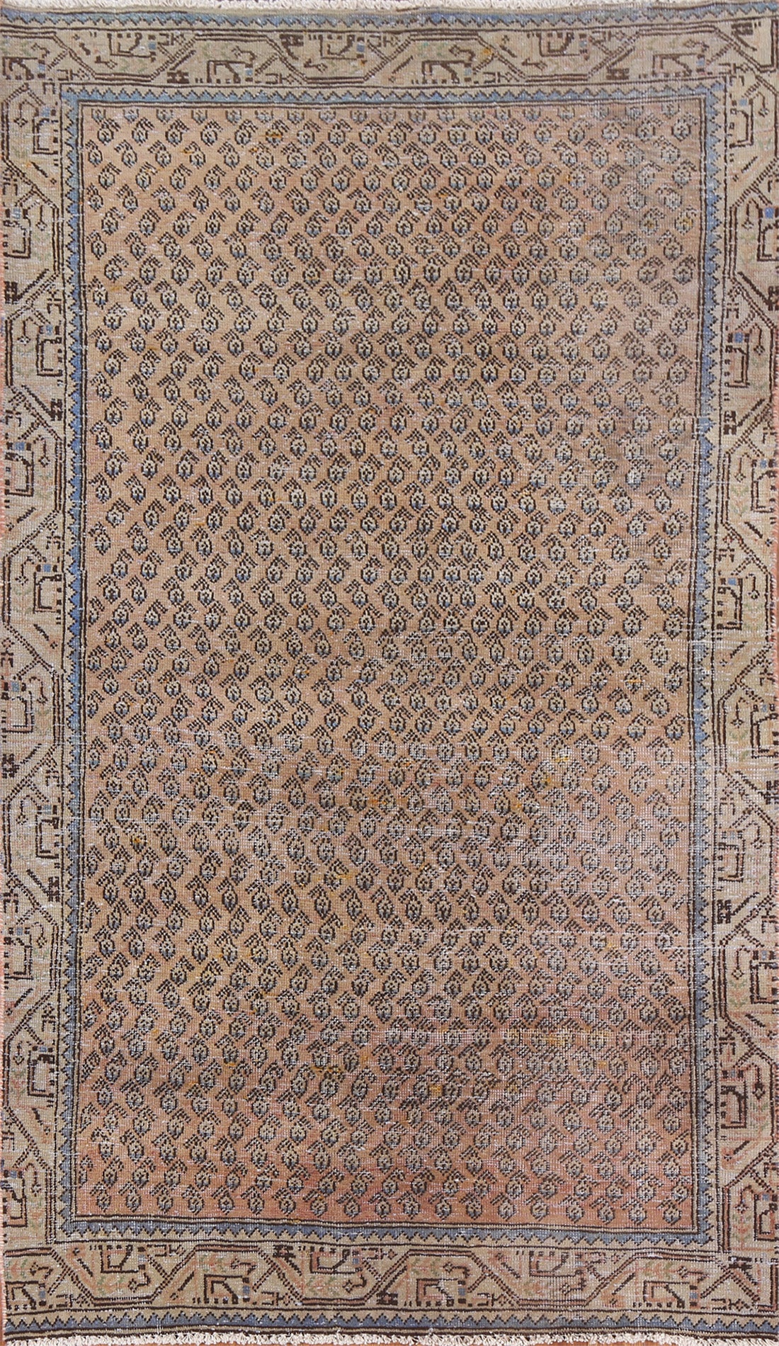 Boteh Botemir Persian Area Rug 4x7