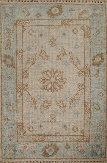 Oushak Geometric Oriental Rug 2x3