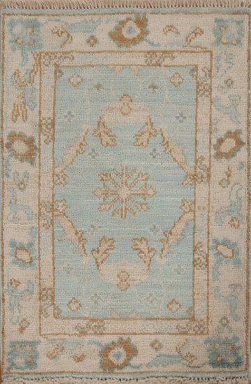 Muted Geometric Oushak Oriental Rug 2x3