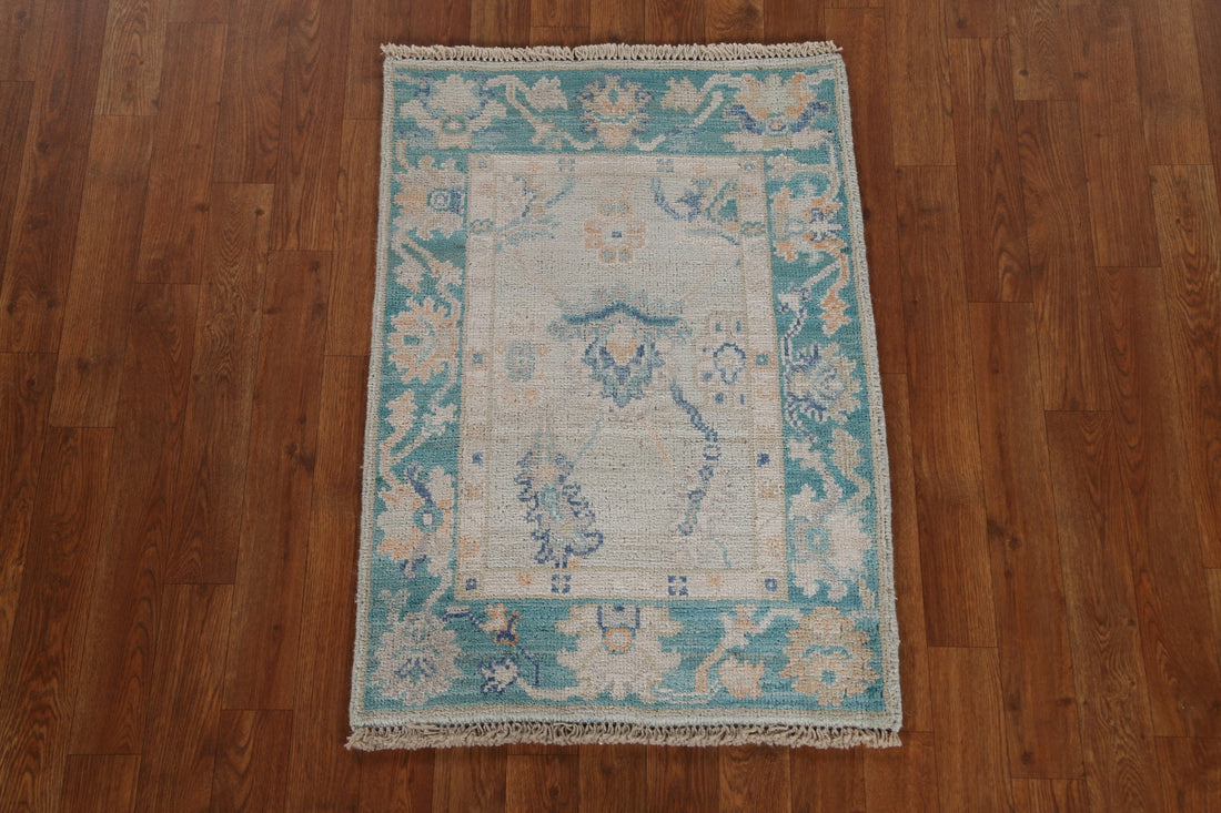 Muted Oushak Geometric Oriental Rug 2x3