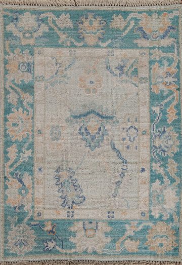 Muted Oushak Geometric Oriental Rug 2x3