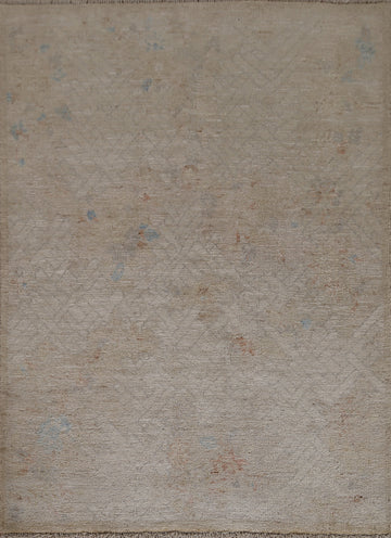 Muted Oushak Oriental Area Rug 4x5