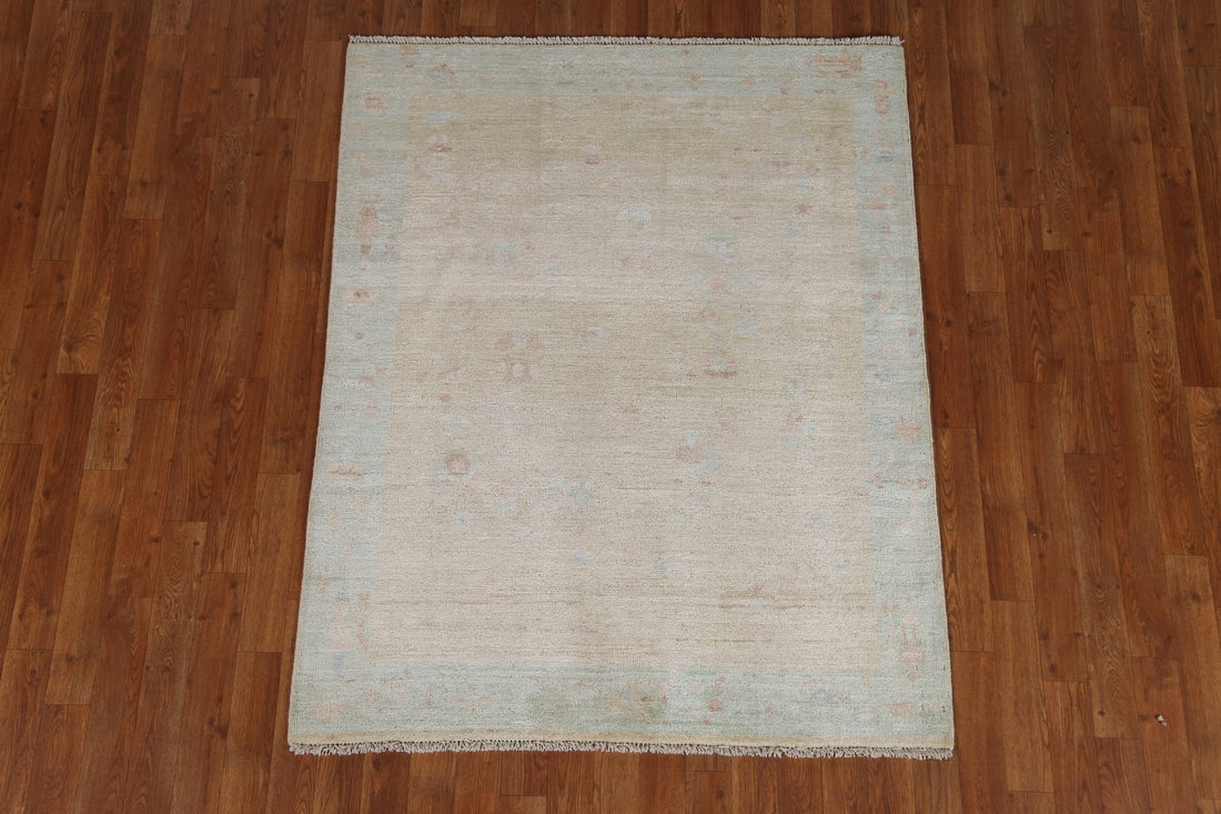 Muted Art Deco Oriental Area Rug 4x5