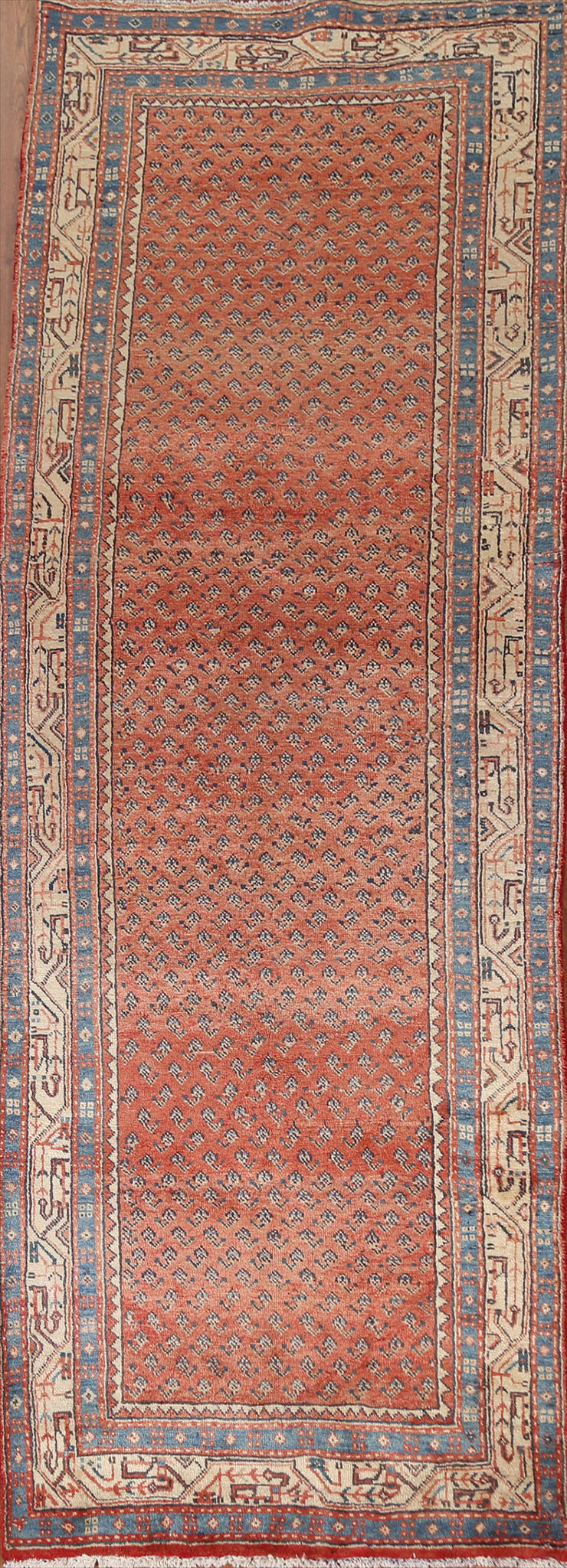 Boteh Botemir Persian Runner Rug 4x10