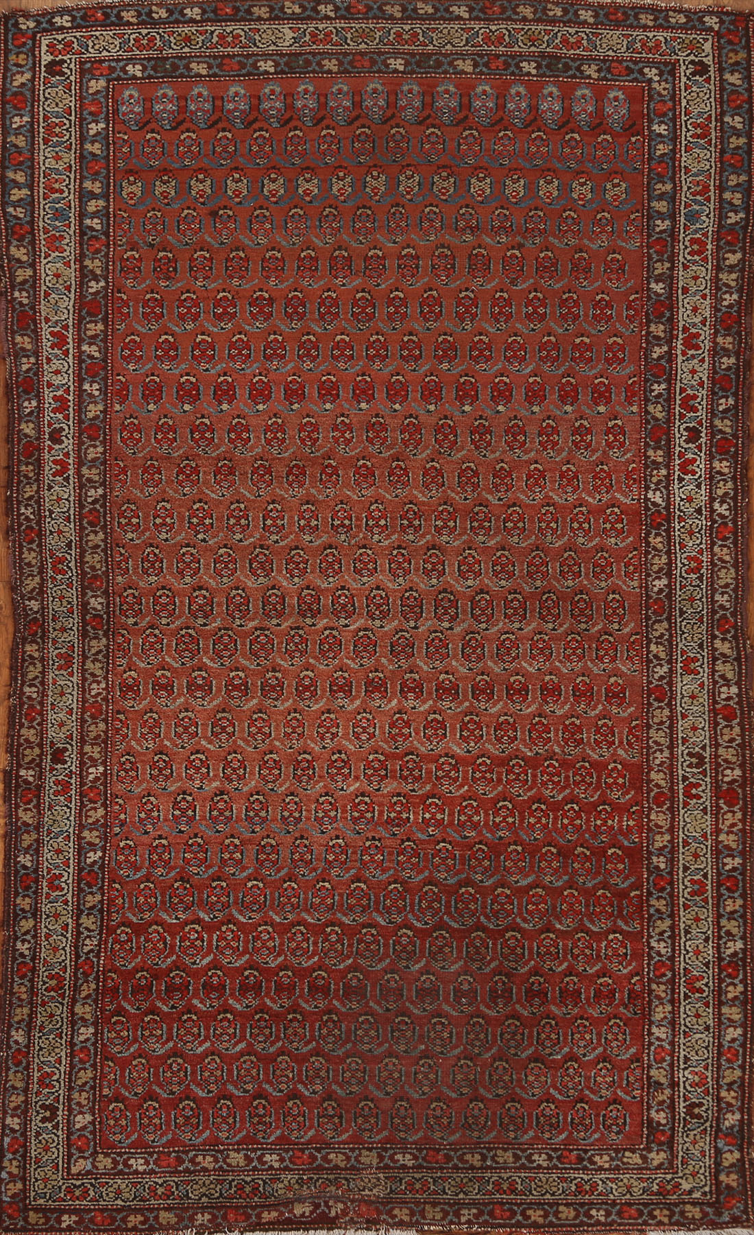 Pre-1900 Antique Vegetable Dye Malayer Persian Rug 3x6