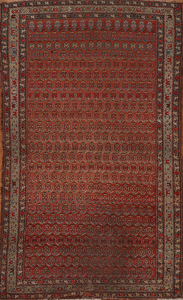Pre-1900 Antique Vegetable Dye Malayer Persian Rug 3x6