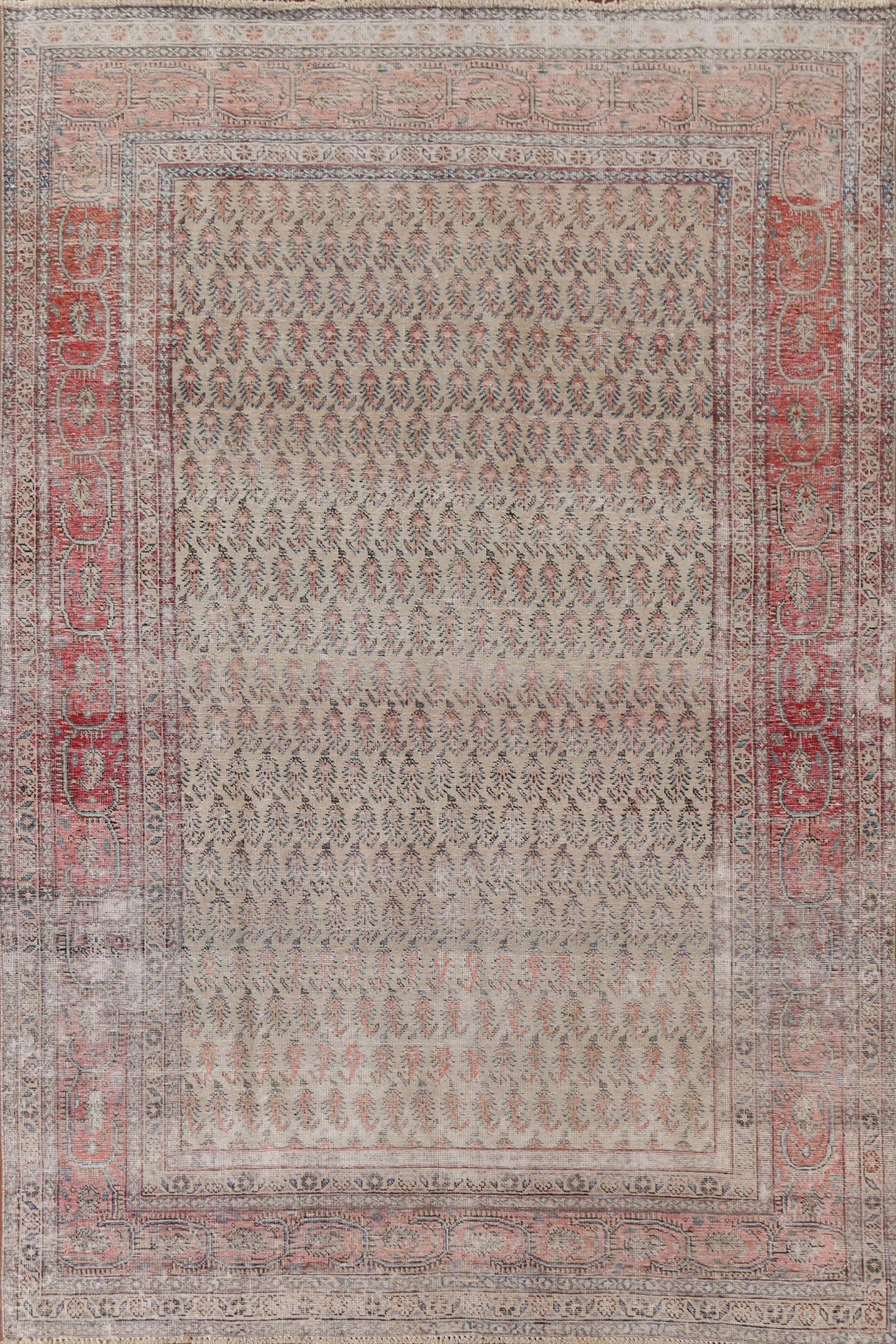 Distressed Botemir Persian Area Rug 7x11