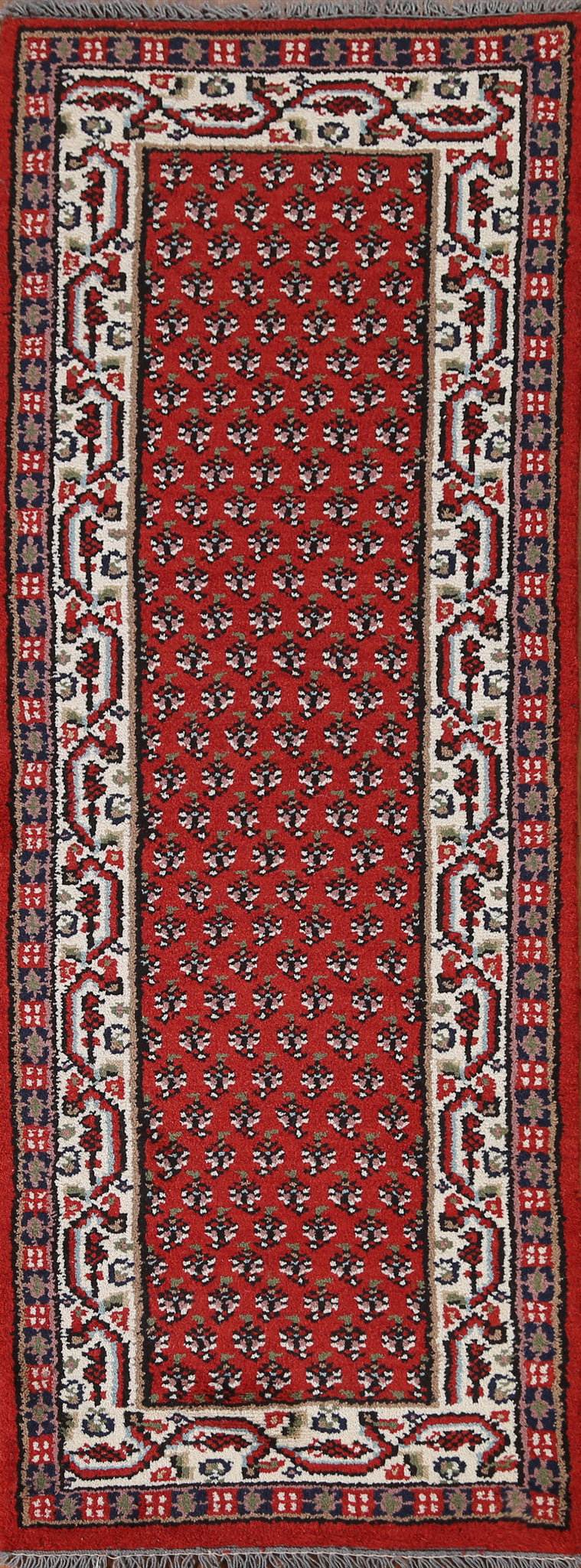 Geometric Botemir Oriental Runner Rug 2x7