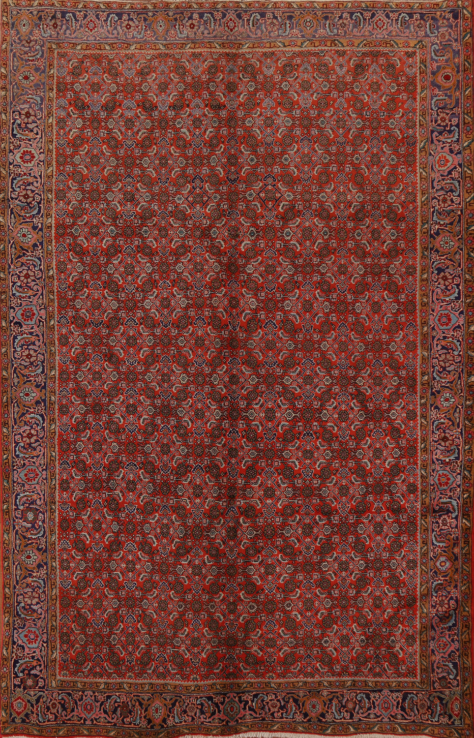 Vantage Red Bidjar Persian Area Rug 7x9