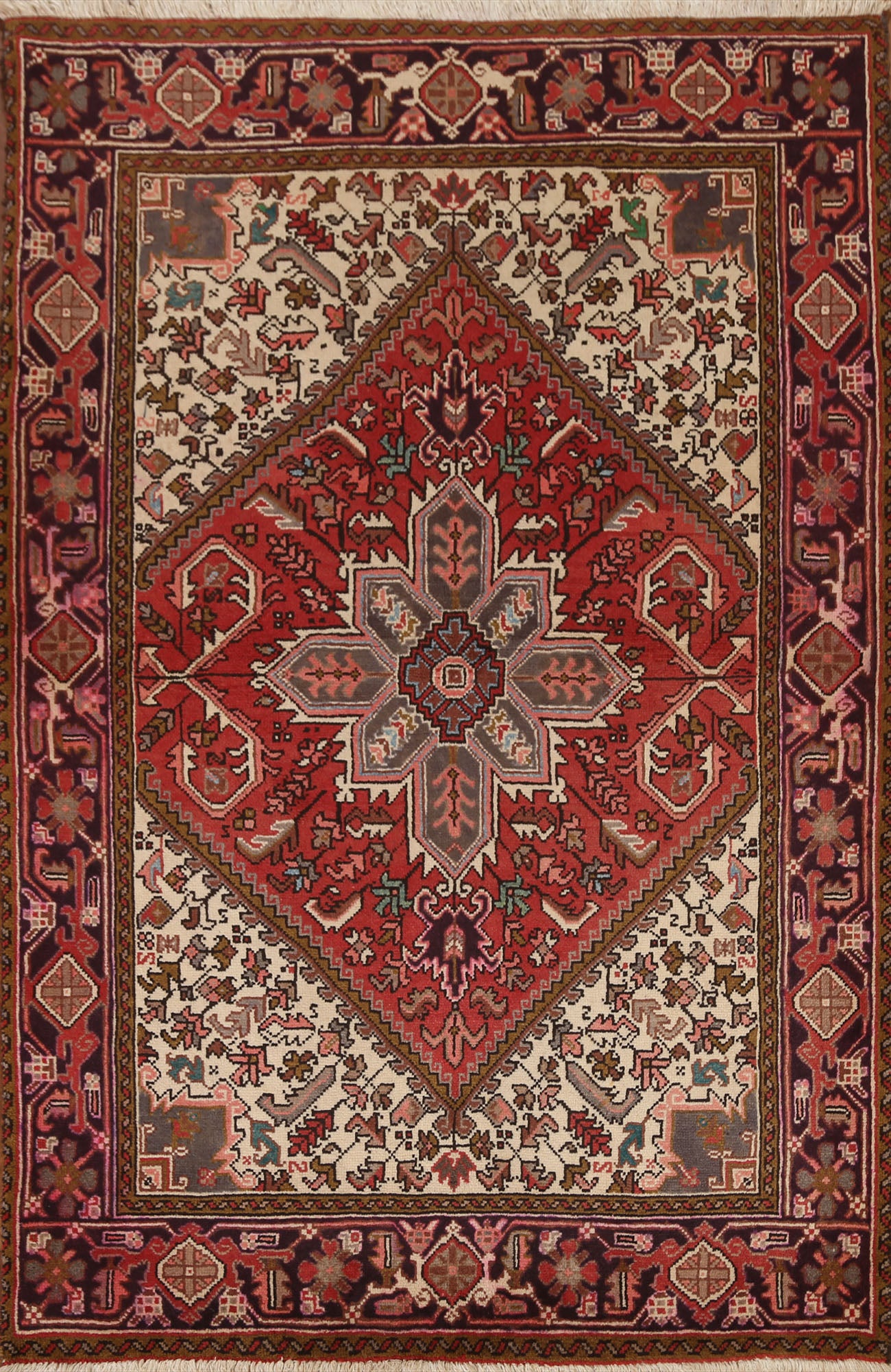 Geometric Heriz Persian Area Rug 5x7