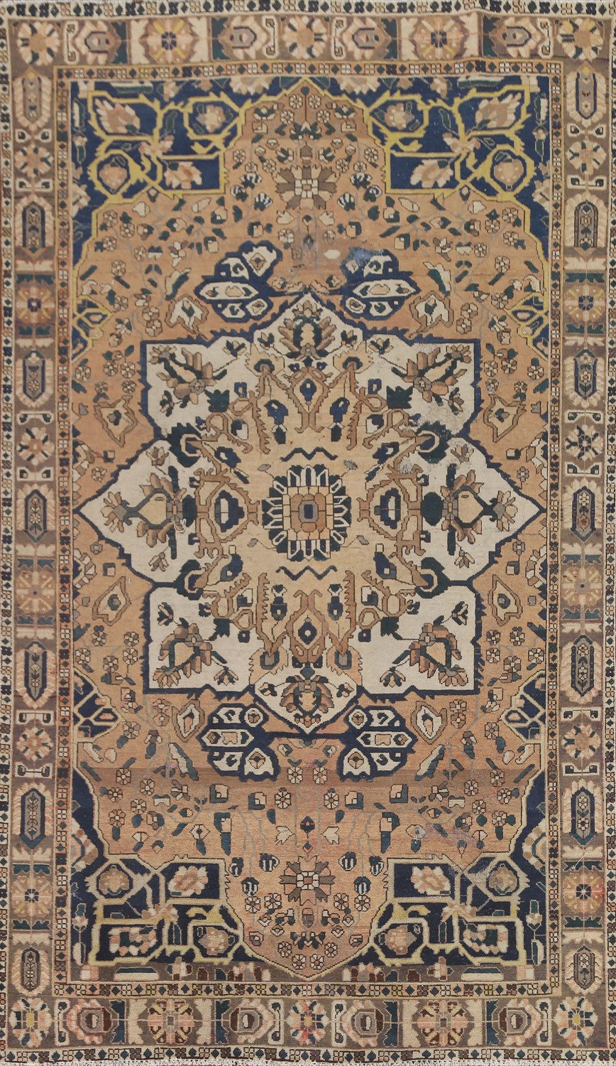 Vintage Bakhtiari Persian Area Rug 7x10